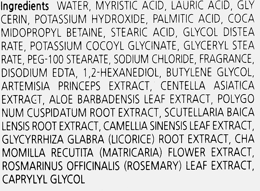 Пінка для вмивання з екстрактом полину - Enough Pure Artemisia Foam Cleansing, 100 мл - фото N3