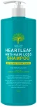 Шампунь проти випадіння волосся з аргановою олією - Char Char Argan Oil Heartleaf Anti-Hair Loss Shampoo, 1500 мл
