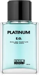 Парфумована вода чоловіча - Royal Cosmetic Platinum E.G. (ТЕСТЕР), 100 мл