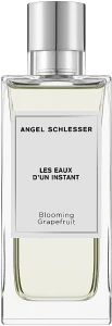 Angel Schlesser Les Eaux d'un Instant Blooming Grapefruit Туалетна вода (тестер із кришечкою)