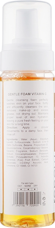 Renew Мягкая пенка для умывания с витамином С для лица Gentle Foam Vitamin C - фото N2