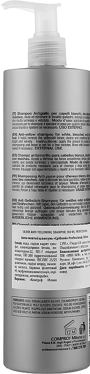 Professional Шампунь з антижовтим ефектом Silver Shampoo - фото N2