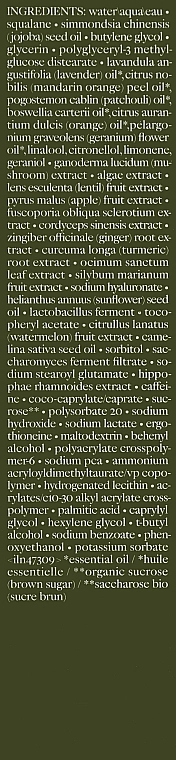 Origins Емульсія для зміцнення захисного шкірного бар'єру Dr. Andrew Weil Mega Mushroom Relief & Resilience Fortifying Emulsion - фото N3