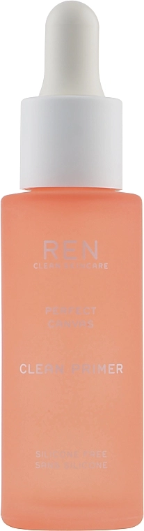 REN Perfect Canvas Clean Primer Зволожувальний праймер для обличчя - фото N1