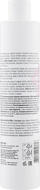 360 Кондиціонер для фарбованого волосся з ожинним оцтом Be Color Colored Hair Conditioner - фото N2