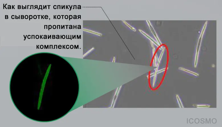 Спикула в сыворотке Medi peel Phyto Cica Nol B5 Shot