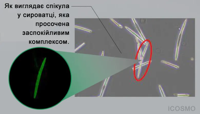 Спікула в сироватці Medi peel Phyto Cica Nol B5 Shot