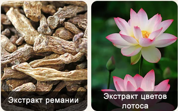 Основные компоненты шампуня Daeng Gi Meo Ri New Gold Black Shampoo