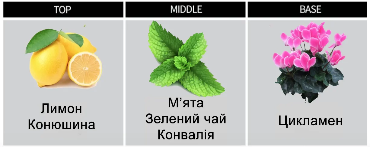 Парфумована композиція гелю для душу Kiss by Rosemine Fragrance Oil Wash Oh, Fresh Herb Garden