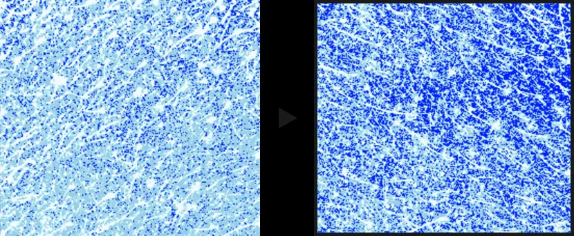 Покращення зволоженності шкіри після падів Celimax Pore+Dark Spot Brightening Pad