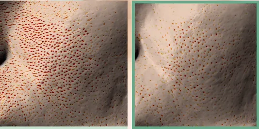 Покращення стану пор після педів Celimax Ji Woo Gae Cica BHA Blemish Toner Pad