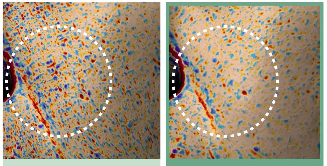Покращення текстури шкіри після педів Celimax Ji Woo Gae Cica BHA Blemish Toner Pad