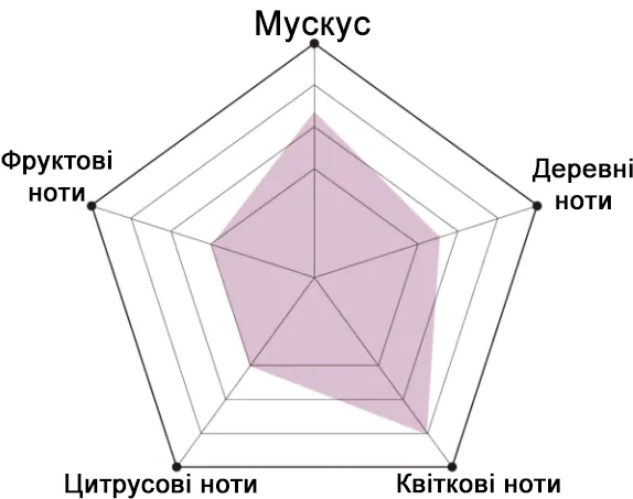 Піраміда аромата есенції BEAUSTA FLORAL & MUSK Perfume Hair Essence