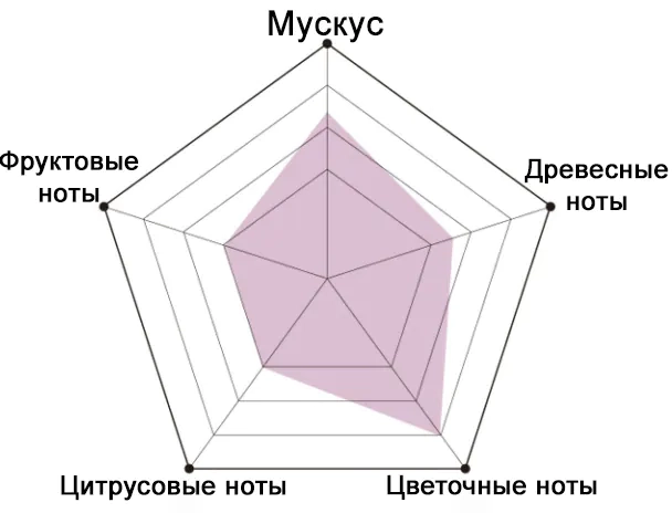 Пирамида аромата эссенции BEAUSTA FLORAL & MUSK Perfume Hair Essence