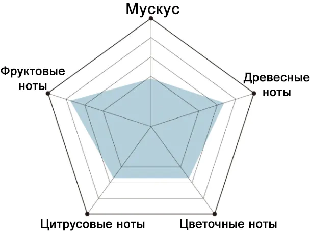 Пирамида аромата эссенции BEAUSTA BLACK BERRY Perfume Hair Essence