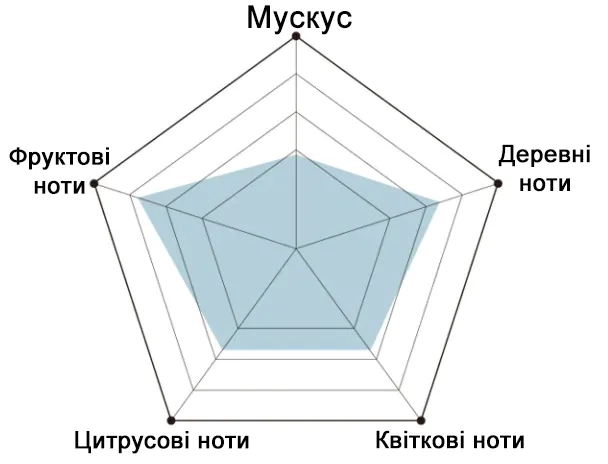 Піраміда аромата есенції BEAUSTA BLACK BERRY Perfume Hair Essence