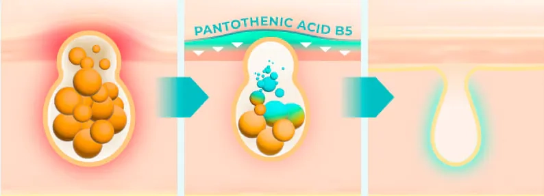 Ефект пантотенової кислоти на шкіру