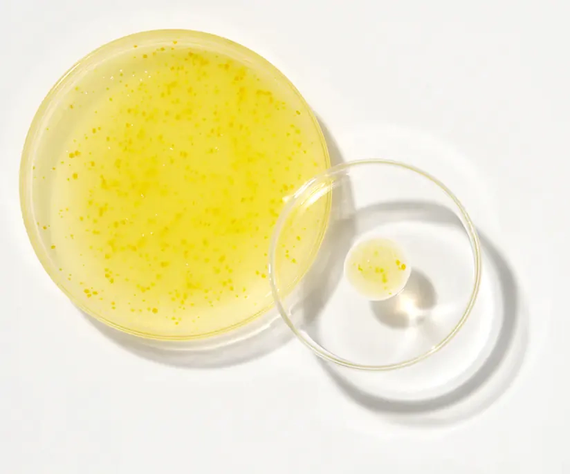 Освітлююча сироватка з ніацинамідом і юдзу - K-Secret Seoul 1988 Glow Serum Niacinamide 15% + Yuja, 30 мл - фото N5