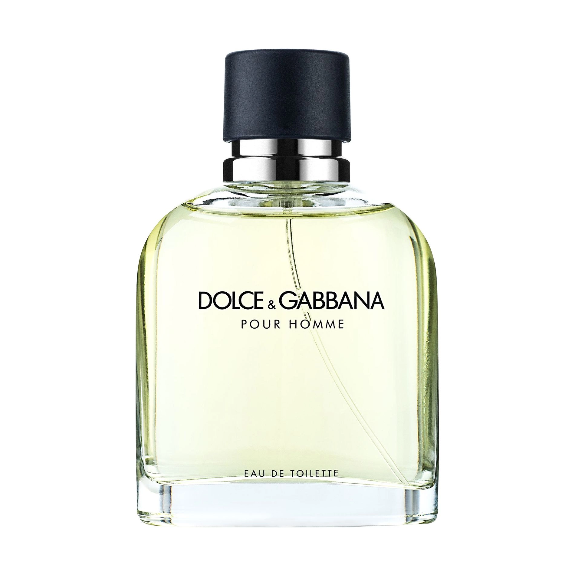 Туалетна вода чоловіча - Dolce & Gabbana Pour Homme, 125 мл - фото N1