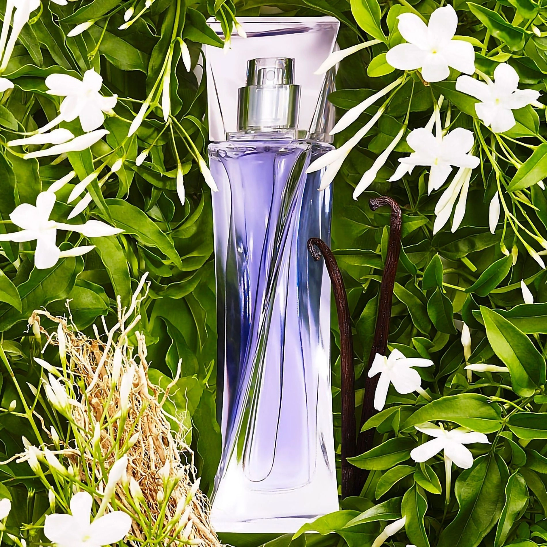 Lancome Hypnose Парфюмированная вода женская, 50 мл - фото N3