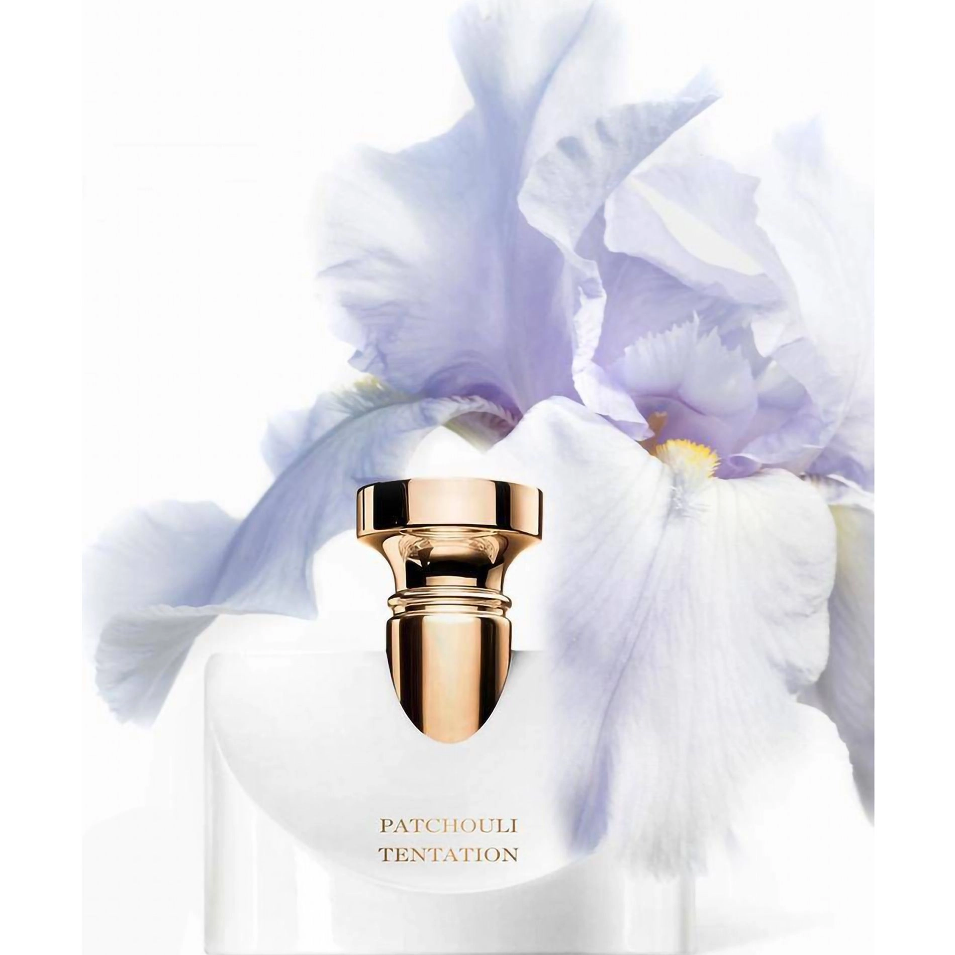 Парфюмированная вода женская - Bvlgari Splendida Patchouli Tentation, 50 мл - фото N5