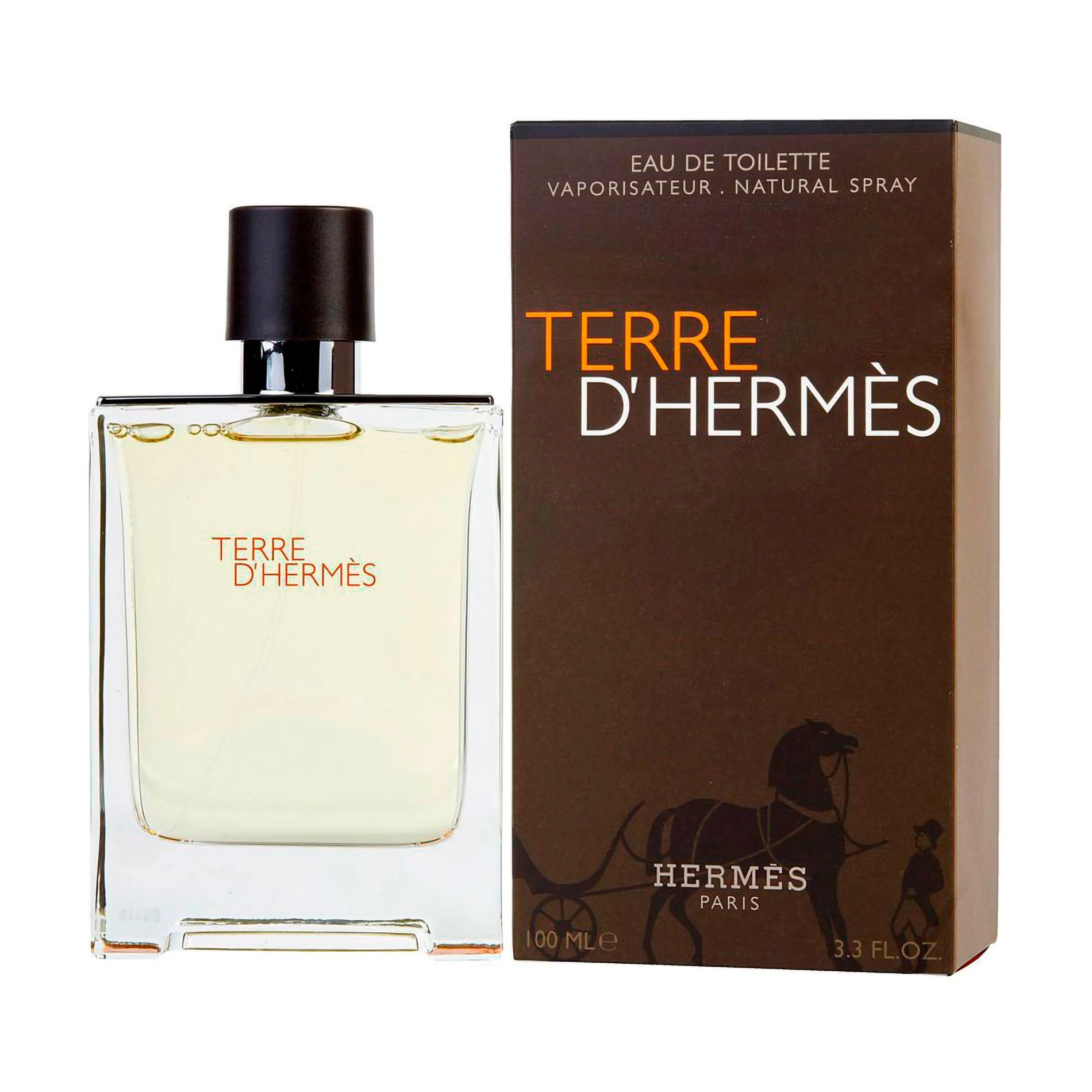 Туалетная вода мужская - Hermes Terre d'Hermes, 100 мл - фото N2