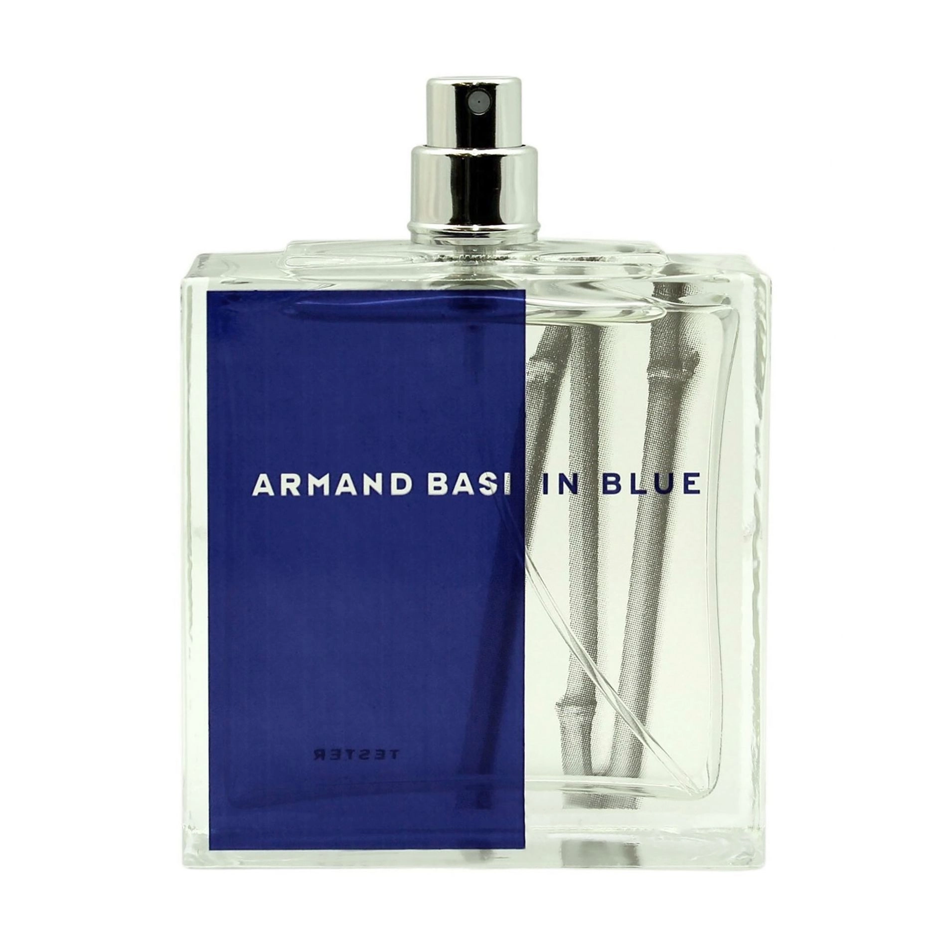 Armand Basi In Blue 100