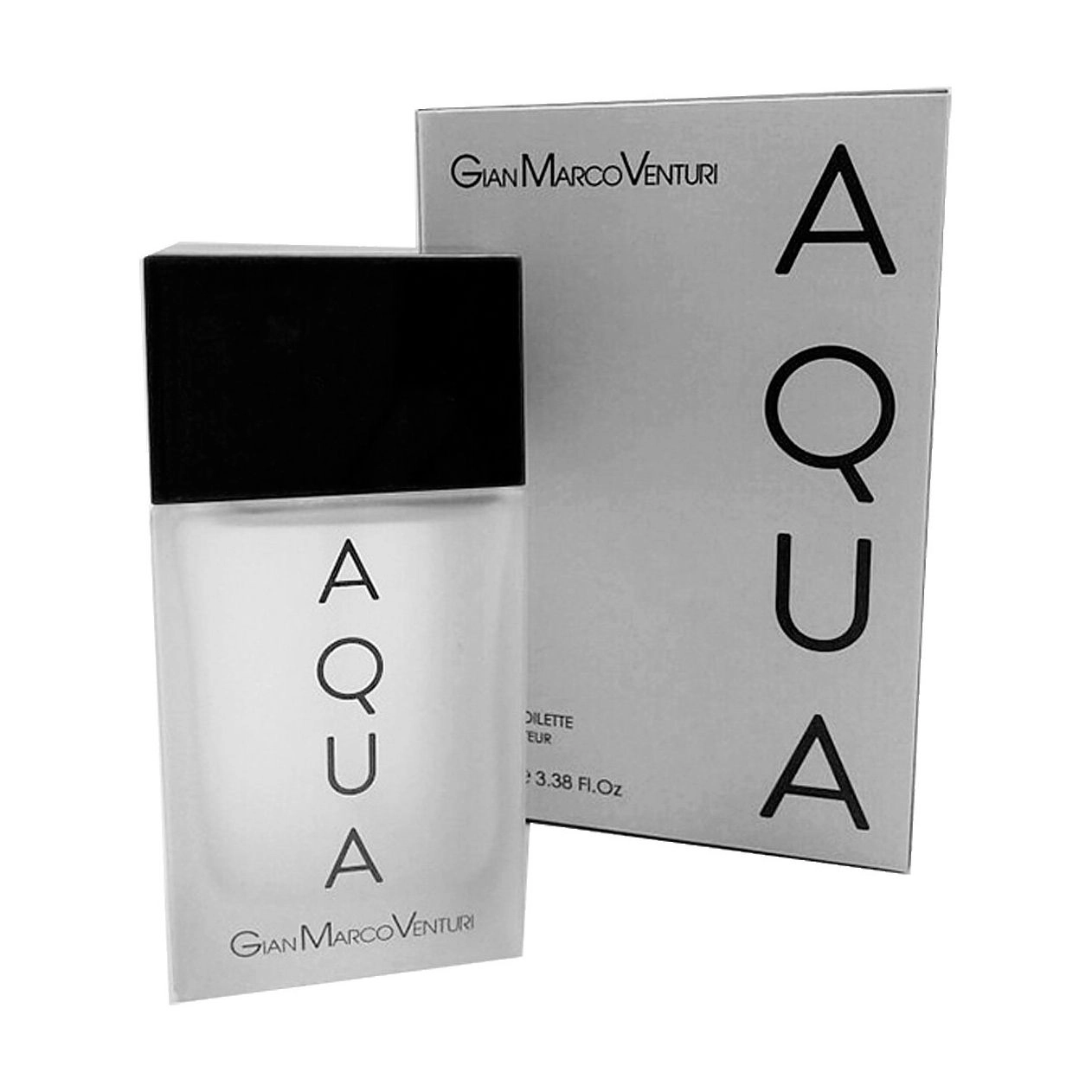 Gian Marco Venturi Туалетная вода Homme Aqua мужская 100мл - фото N1