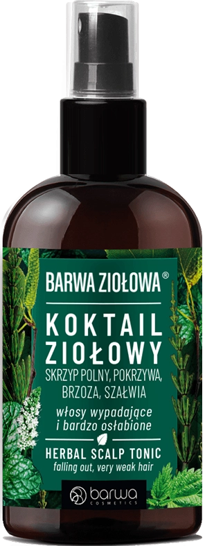 Спрей для шкіри голови проти випадання волосся "Трав'яний коктейль" - Barwa Herbal Scalp Tonic, 95 мл - фото N1