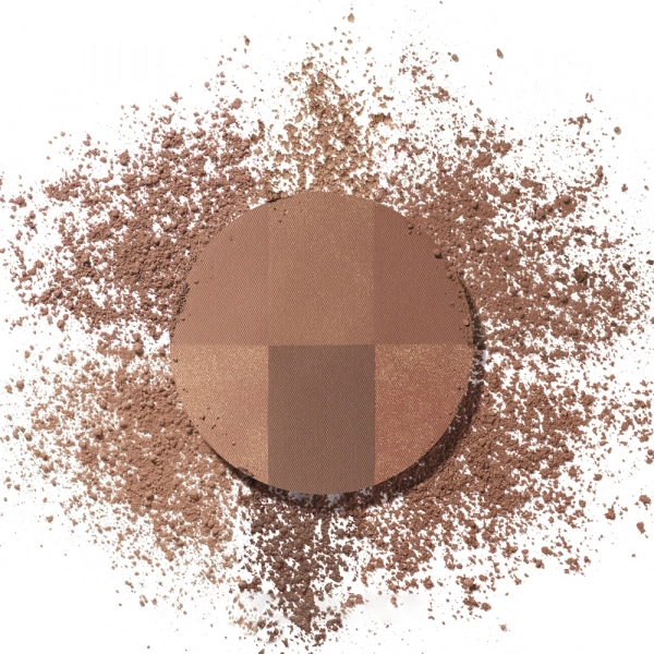 Пудра бронзирующая для лица - Bourjois Always Fabulous Bronzing Powder, Тон 002 Dark, 9 г - фото N2