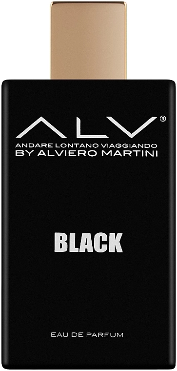 Парфюмированная вода мужская - Alviero Martini Black, 100 мл - фото N1