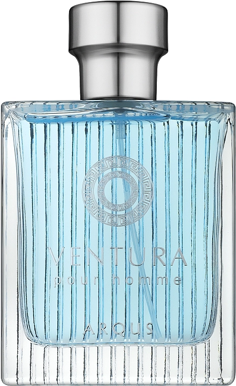 Парфюмированная вода мужская - Arqus Ventura Pour Homme Eau De Parfum, 100 мл - фото N1