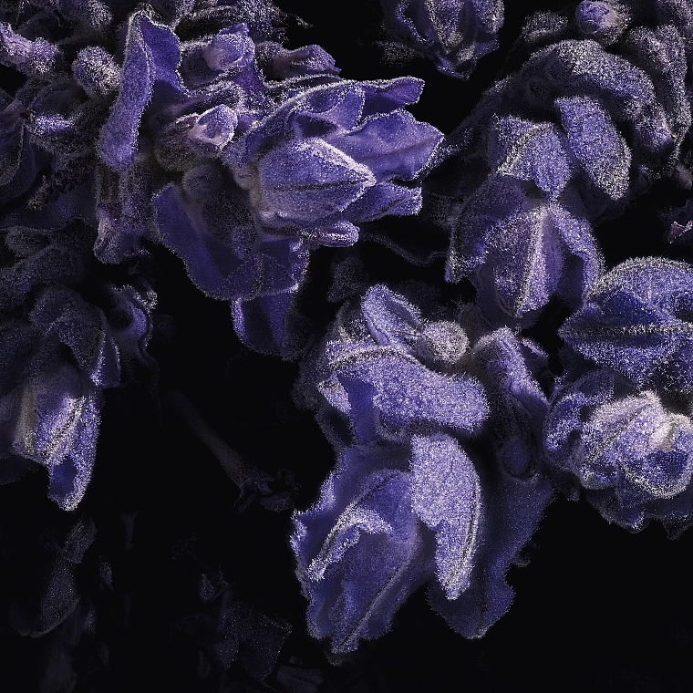 Духи женские - Yves Saint Laurent Libre Le Parfum, 90 мл - фото N9