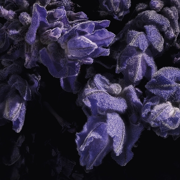 Духи женские - Yves Saint Laurent Libre Le Parfum, 30 мл - фото N9