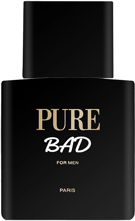 Туалетная вода мужская - Karen Low Pure Bad, 100 мл - фото N2