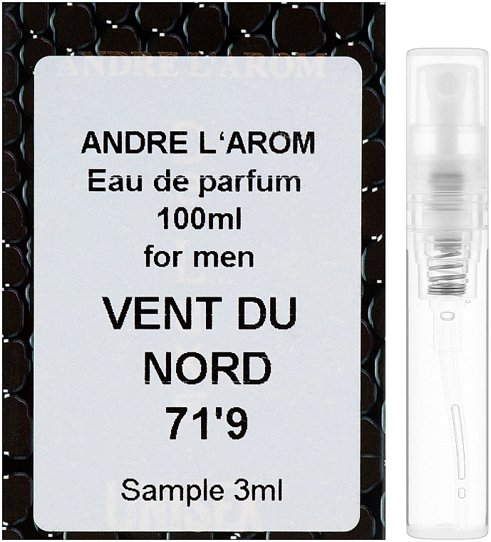 Andre L'arom Andre L`Arom Vent du Nord "71'9" Парфумована вода (пробник) - фото N1