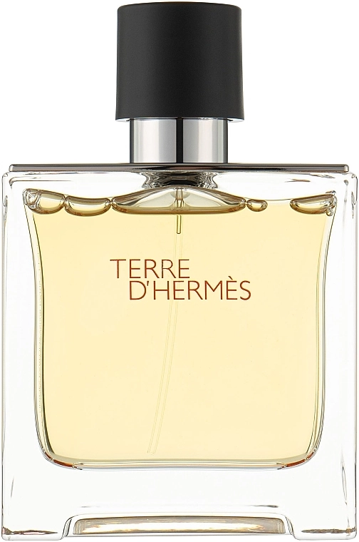 Hermes Terre d'Hermes Парфуми - фото N1