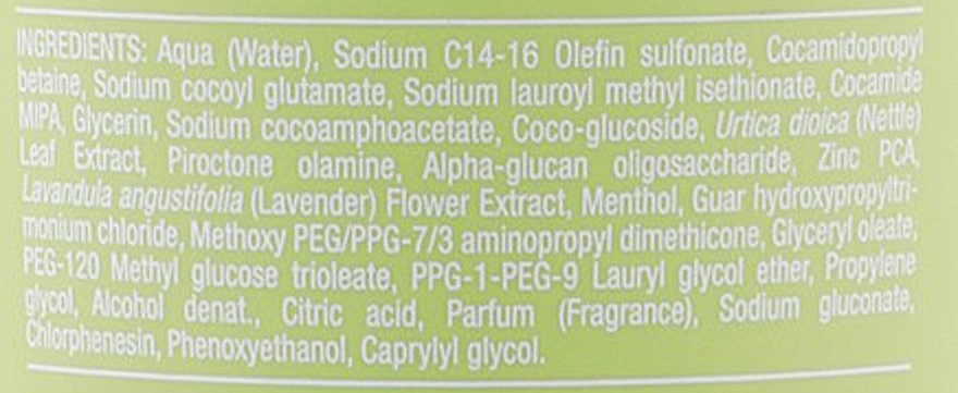 Helen Seward Очищувальний шампунь для волосся Therapy 6/S Pyrify Shampoo - фото N5