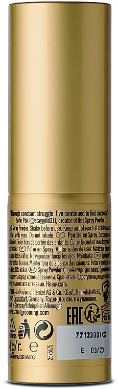 STMNT Пудра-спрей для волос Grooming Goods Powder Spray - фото N4