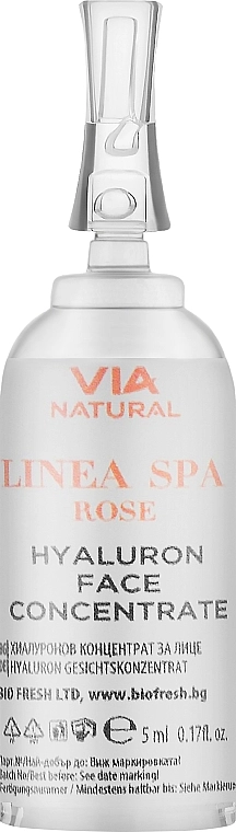 BioFresh Гиалуроновый концентрат для лица Linea Spa Rose Hyaluron Face Concentrate - фото N1