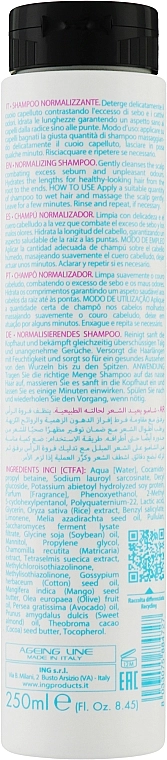 ING Professional Нормалізувальний шампунь для волосся Normalizing Shampoo - фото N2