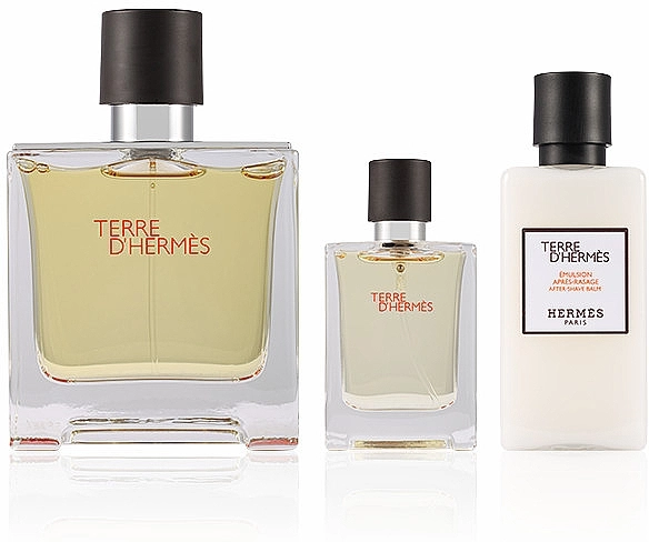 Hermes Terre d'Hermes Parfum Набор (edt/75ml + edt/12.5ml + ash/lot/40ml) - фото N3