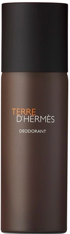 Hermes Terre dHermes Дезодорант-спрей - фото N1