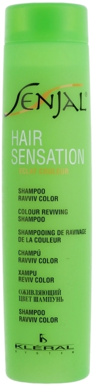 Kleral System Шампунь відновлюючий для фарбованого волосся Reviving Treatment Shampoo - фото N1