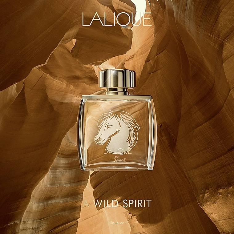 Lalique Equus Pour Homme Парфюмированная вода - фото N4