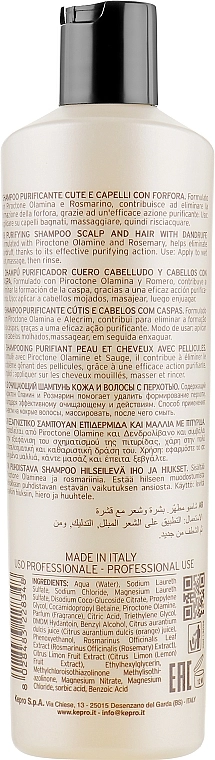 KayPro Шампунь від лупи Scalp Care Shampoo - фото N2