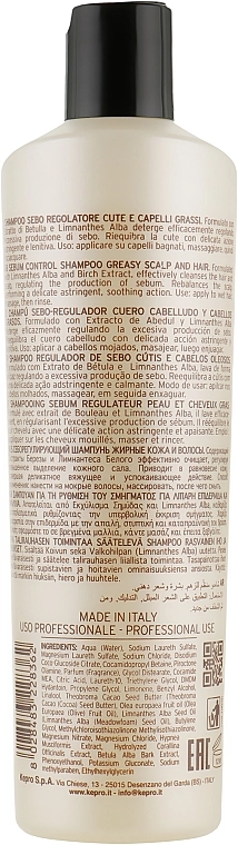 KayPro Шампунь для жирного волосся Scalp Care Sebo Shampoo - фото N2