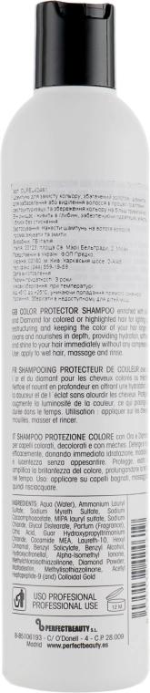 Design Look Шампунь для захисту кольору Pro-Colour Color Care Shampoo - фото N2