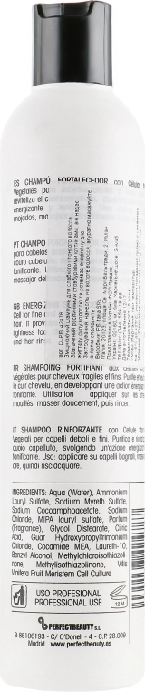 Design Look Шампунь "Укрепляющий" Energy Care Shampoo - фото N2