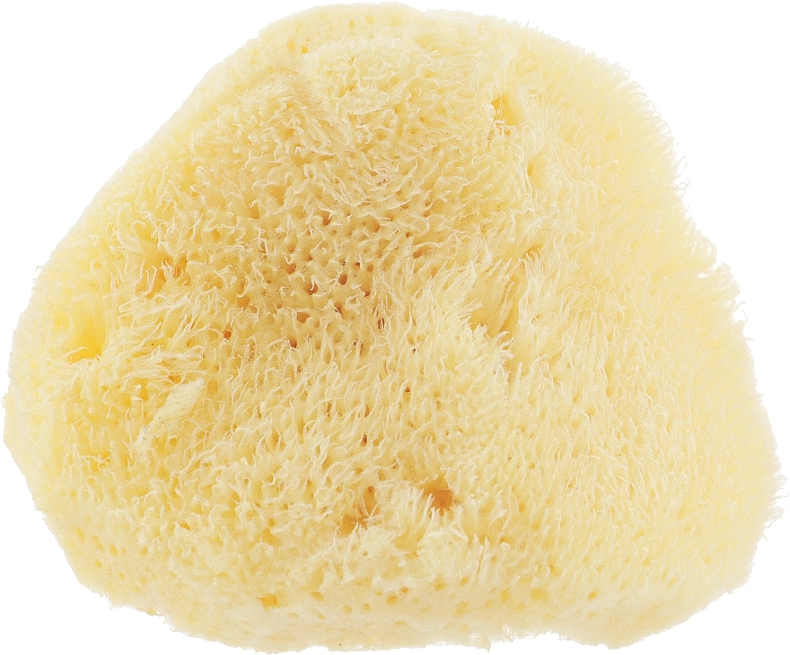 Najel Натуральна морська губка, 9-10 см Natural Sponge - фото N1